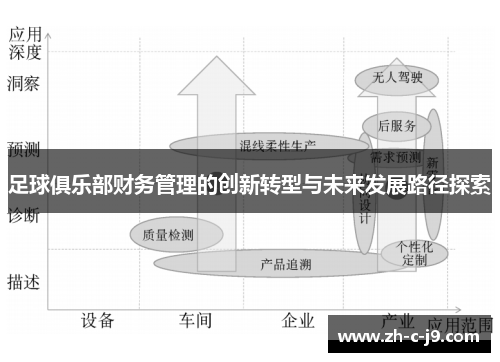 足球俱乐部财务管理的创新转型与未来发展路径探索